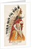 Man and Chief, Pawnee, from the American Indian Chiefs series for Allen & Ginter Ciga…, 1888 by Allen & Ginter