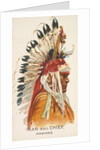 Man and Chief, Pawnee, from the American Indian Chiefs series for Allen & Ginter Ciga…, 1888 by Allen & Ginter