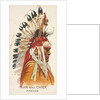 Man and Chief, Pawnee, from the American Indian Chiefs series for Allen & Ginter Ciga…, 1888 by Allen & Ginter