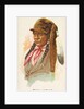 Bull Head, Pawnee, from the American Indian Chiefs series for Allen & Ginter Cigarett…, 1888 by Allen & Ginter