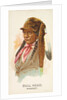 Bull Head, Pawnee, from the American Indian Chiefs series for Allen & Ginter Cigarett…, 1888 by Allen & Ginter