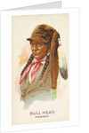 Bull Head, Pawnee, from the American Indian Chiefs series for Allen & Ginter Cigarett…, 1888 by Allen & Ginter