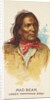 Mad Bear, Lower Yanktonas Sioux, from the American Indian Chiefs series for Allen & G…, 1888 by Allen & Ginter