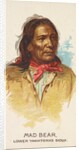 Mad Bear, Lower Yanktonas Sioux, from the American Indian Chiefs series for Allen & G…, 1888 by Allen & Ginter