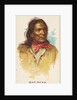Mad Bear, Lower Yanktonas Sioux, from the American Indian Chiefs series for Allen & G…, 1888 by Allen & Ginter