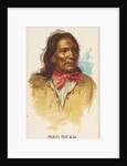 Mad Bear, Lower Yanktonas Sioux, from the American Indian Chiefs series for Allen & G…, 1888 by Allen & Ginter