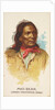 Mad Bear, Lower Yanktonas Sioux, from the American Indian Chiefs series for Allen & G…, 1888 by Allen & Ginter