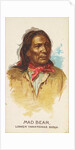 Mad Bear, Lower Yanktonas Sioux, from the American Indian Chiefs series for Allen & G…, 1888 by Allen & Ginter