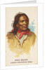 Mad Bear, Lower Yanktonas Sioux, from the American Indian Chiefs series for Allen & G…, 1888 by Allen & Ginter