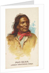 Mad Bear, Lower Yanktonas Sioux, from the American Indian Chiefs series for Allen & G…, 1888 by Allen & Ginter