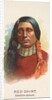 Red Shirt, Dakota Sioux, from the American Indian Chiefs series for Allen & Ginter Ci…, 1888 by Allen & Ginter