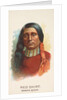 Red Shirt, Dakota Sioux, from the American Indian Chiefs series for Allen & Ginter Ci…, 1888 by Allen & Ginter