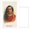 Red Shirt, Dakota Sioux, from the American Indian Chiefs series for Allen & Ginter Ci…, 1888 by Allen & Ginter