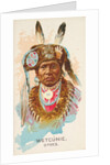 Wetcunie, Otoes, from the American Indian Chiefs series for Allen & Ginter Cigarettes…, 1888 by Allen & Ginter