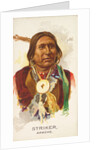 Striker, Apache, from the American Indian Chiefs series for Allen & Ginter Cigarettes…, 1888 by Allen & Ginter
