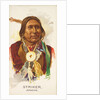 Striker, Apache, from the American Indian Chiefs series for Allen & Ginter Cigarettes…, 1888 by Allen & Ginter