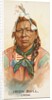 Iron Bull, Crow, from the American Indian Chiefs series for Allen & Ginter Cigarettes…, 1888 by Allen & Ginter