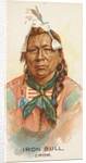 Iron Bull, Crow, from the American Indian Chiefs series for Allen & Ginter Cigarettes…, 1888 by Allen & Ginter