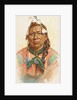 Iron Bull, Crow, from the American Indian Chiefs series for Allen & Ginter Cigarettes…, 1888 by Allen & Ginter