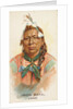 Iron Bull, Crow, from the American Indian Chiefs series for Allen & Ginter Cigarettes…, 1888 by Allen & Ginter