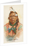 Iron Bull, Crow, from the American Indian Chiefs series for Allen & Ginter Cigarettes…, 1888 by Allen & Ginter