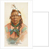 Iron Bull, Crow, from the American Indian Chiefs series for Allen & Ginter Cigarettes…, 1888 by Allen & Ginter