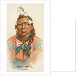 Iron Bull, Crow, from the American Indian Chiefs series for Allen & Ginter Cigarettes…, 1888 by Allen & Ginter