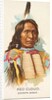 Red Cloud, Dakota Sioux, from the American Indian Chiefs series for Allen & Ginter Ci…, 1888 by Allen & Ginter