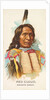 Red Cloud, Dakota Sioux, from the American Indian Chiefs series for Allen & Ginter Ci…, 1888 by Allen & Ginter