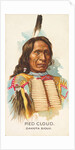 Red Cloud, Dakota Sioux, from the American Indian Chiefs series for Allen & Ginter Ci…, 1888 by Allen & Ginter