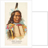 Red Cloud, Dakota Sioux, from the American Indian Chiefs series for Allen & Ginter Ci…, 1888 by Allen & Ginter