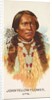 John Yellow Flower, Ute, from the American Indian Chiefs series for Allen & Ginter Ci…, 1888 by Allen & Ginter
