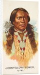 John Yellow Flower, Ute, from the American Indian Chiefs series for Allen & Ginter Ci…, 1888 by Allen & Ginter