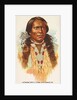 John Yellow Flower, Ute, from the American Indian Chiefs series for Allen & Ginter Ci…, 1888 by Allen & Ginter