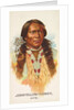John Yellow Flower, Ute, from the American Indian Chiefs series for Allen & Ginter Ci…, 1888 by Allen & Ginter