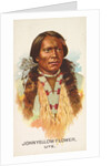 John Yellow Flower, Ute, from the American Indian Chiefs series for Allen & Ginter Ci…, 1888 by Allen & Ginter