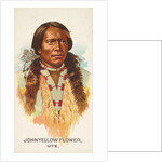 John Yellow Flower, Ute, from the American Indian Chiefs series for Allen & Ginter Ci…, 1888 by Allen & Ginter