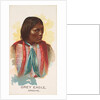 Grey Eagle, Apache, from the American Indian Chiefs series for Allen & Ginter Cigaret…, 1888 by Allen & Ginter
