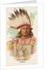 British, Ioway, from the American Indian Chiefs series for Allen & Ginter Cigarettes …, 1888 by Allen & Ginter