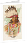 British, Ioway, from the American Indian Chiefs series for Allen & Ginter Cigarettes …, 1888 by Allen & Ginter