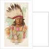 British, Ioway, from the American Indian Chiefs series for Allen & Ginter Cigarettes …, 1888 by Allen & Ginter