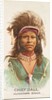 Chief Gall, Hunkpapa Sioux, from the American Indian Chiefs series for Allen & Ginter…, 1888 by Allen & Ginter