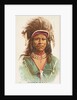 Chief Gall, Hunkpapa Sioux, from the American Indian Chiefs series for Allen & Ginter…, 1888 by Allen & Ginter