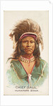Chief Gall, Hunkpapa Sioux, from the American Indian Chiefs series for Allen & Ginter…, 1888 by Allen & Ginter