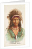 Chief Gall, Hunkpapa Sioux, from the American Indian Chiefs series for Allen & Ginter…, 1888 by Allen & Ginter