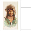 Chief Gall, Hunkpapa Sioux, from the American Indian Chiefs series for Allen & Ginter…, 1888 by Allen & Ginter