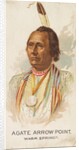 Agate Arrow Point, Warm Springs, from the American Indian Chiefs series for Allen & G…, 1888 by Allen & Ginter