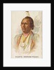 Agate Arrow Point, Warm Springs, from the American Indian Chiefs series for Allen & G…, 1888 by Allen & Ginter