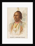 Agate Arrow Point, Warm Springs, from the American Indian Chiefs series for Allen & G…, 1888 by Allen & Ginter