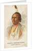Agate Arrow Point, Warm Springs, from the American Indian Chiefs series for Allen & G…, 1888 by Allen & Ginter